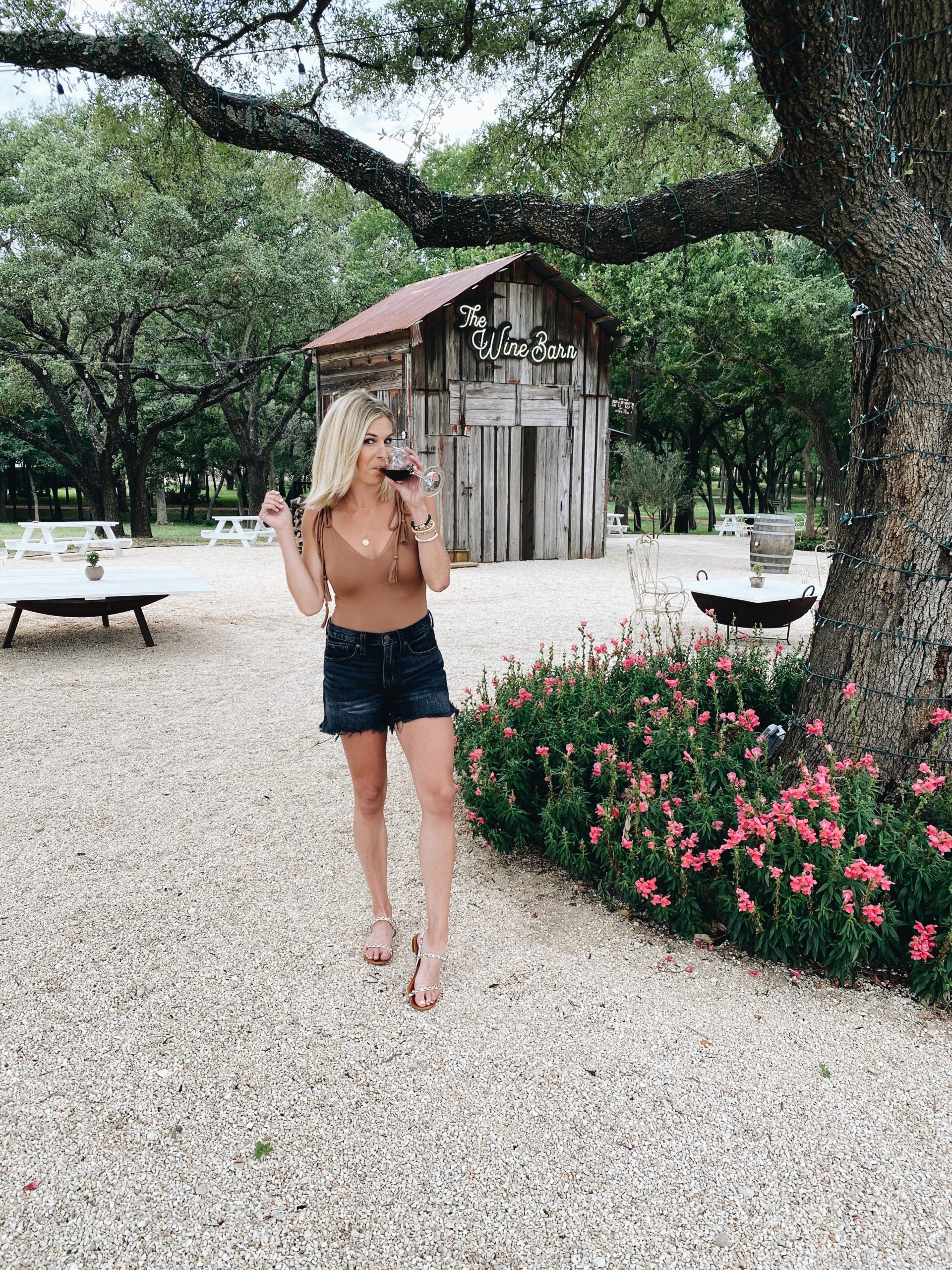 TEXAS WINE COUNTRY / FREDERICKSBURG