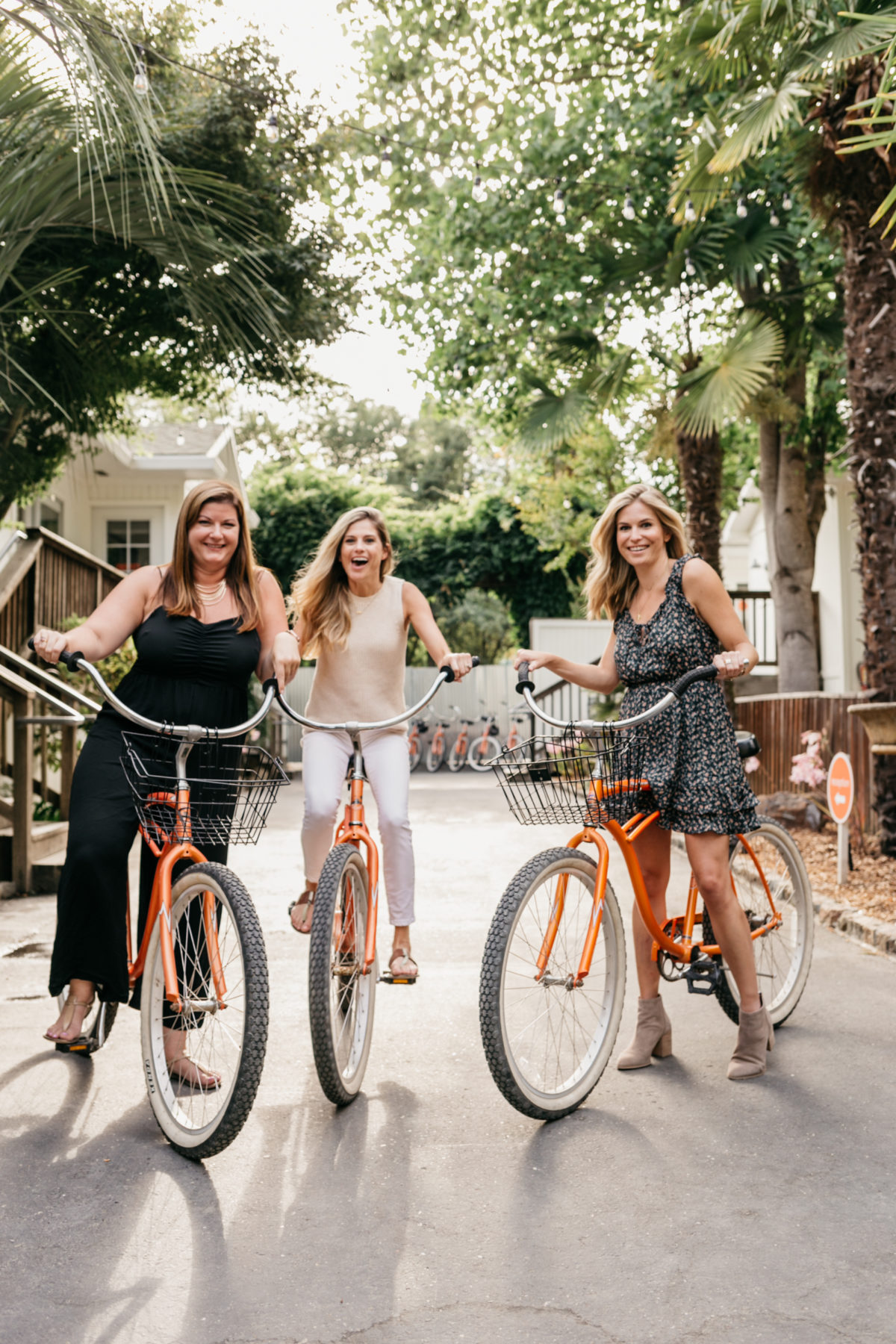 Brooke and her friends in Sonoma