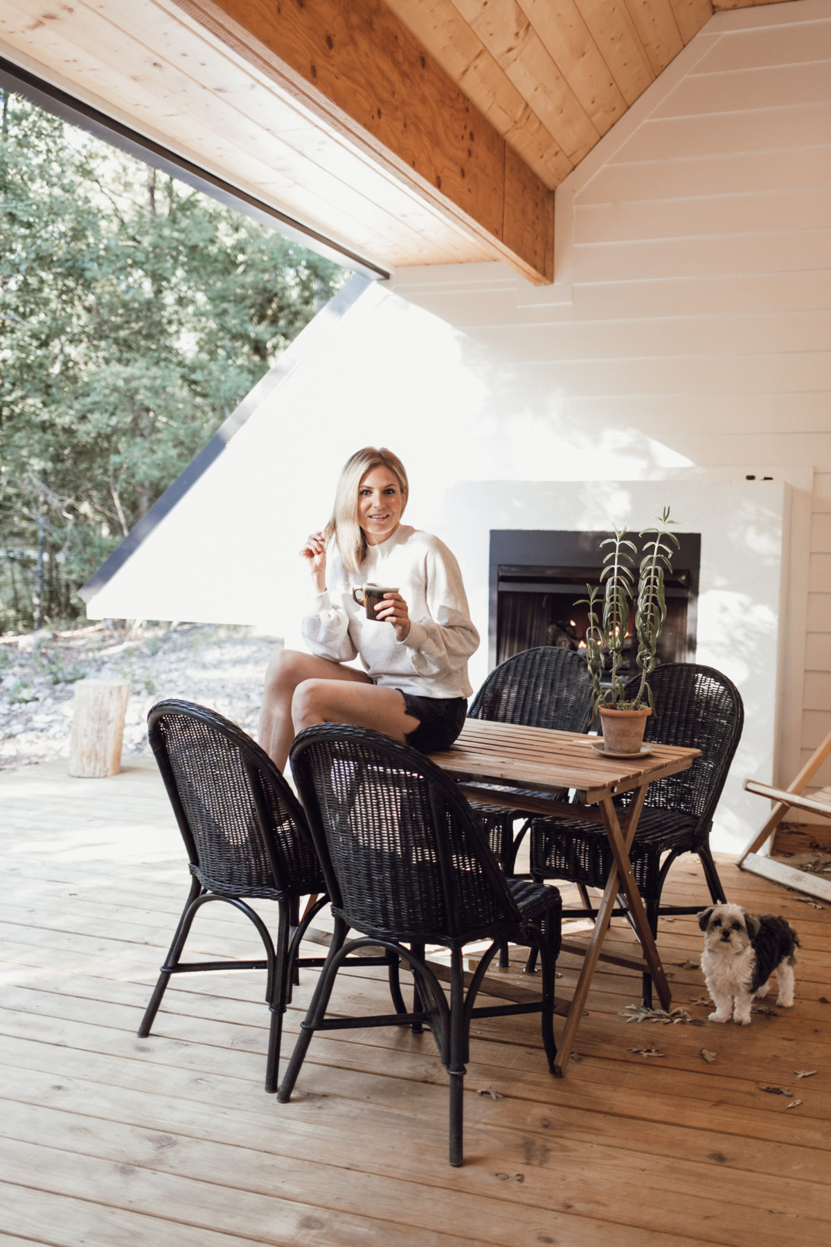 Cabin California Dreaming