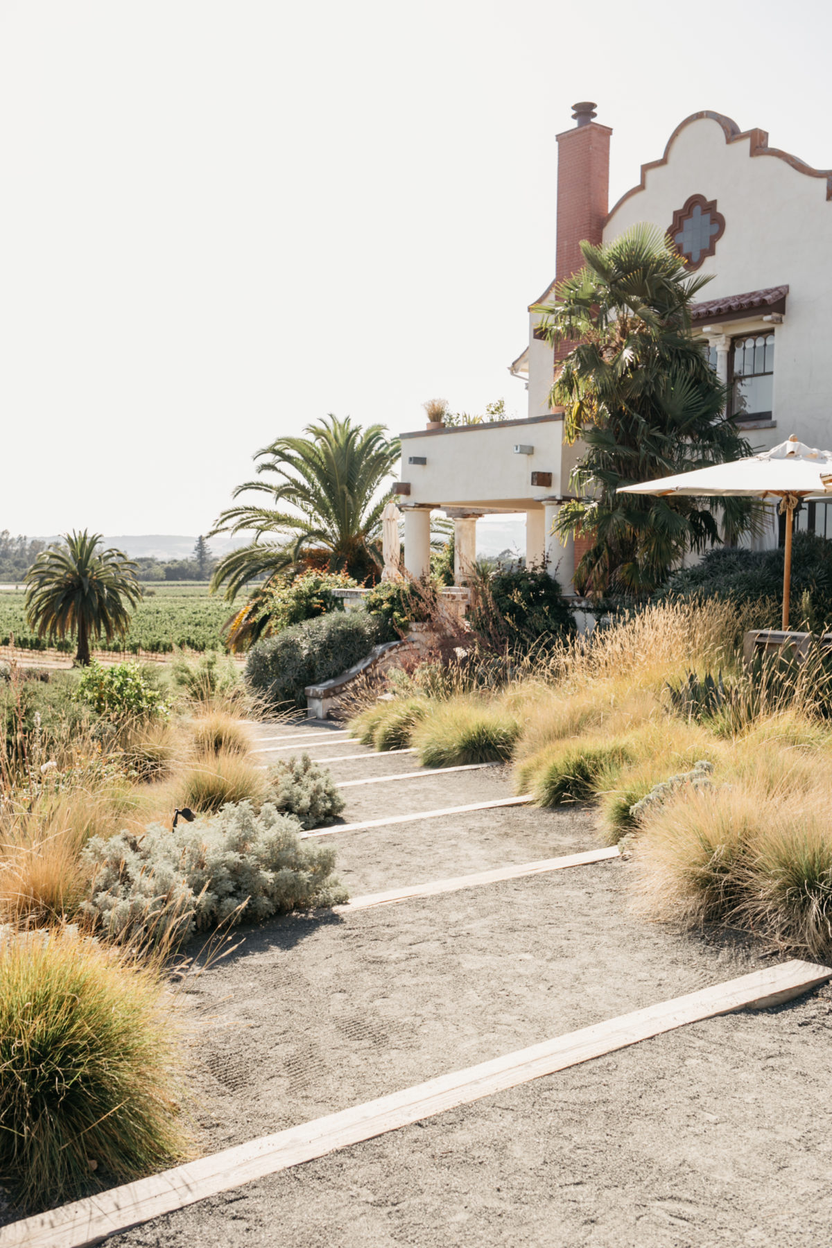 Sonoma vineyard trail